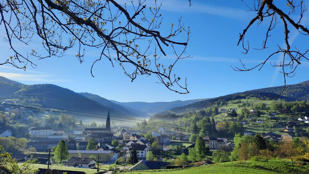 Gite Des 3 Jonquilles Saint-Maurice-sur-Moselle Luaran gambar
